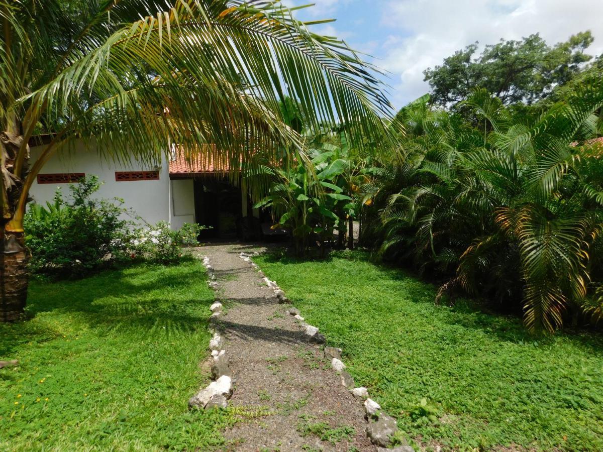 Villas Jungle 5 ซามารา ภายนอก รูปภาพ