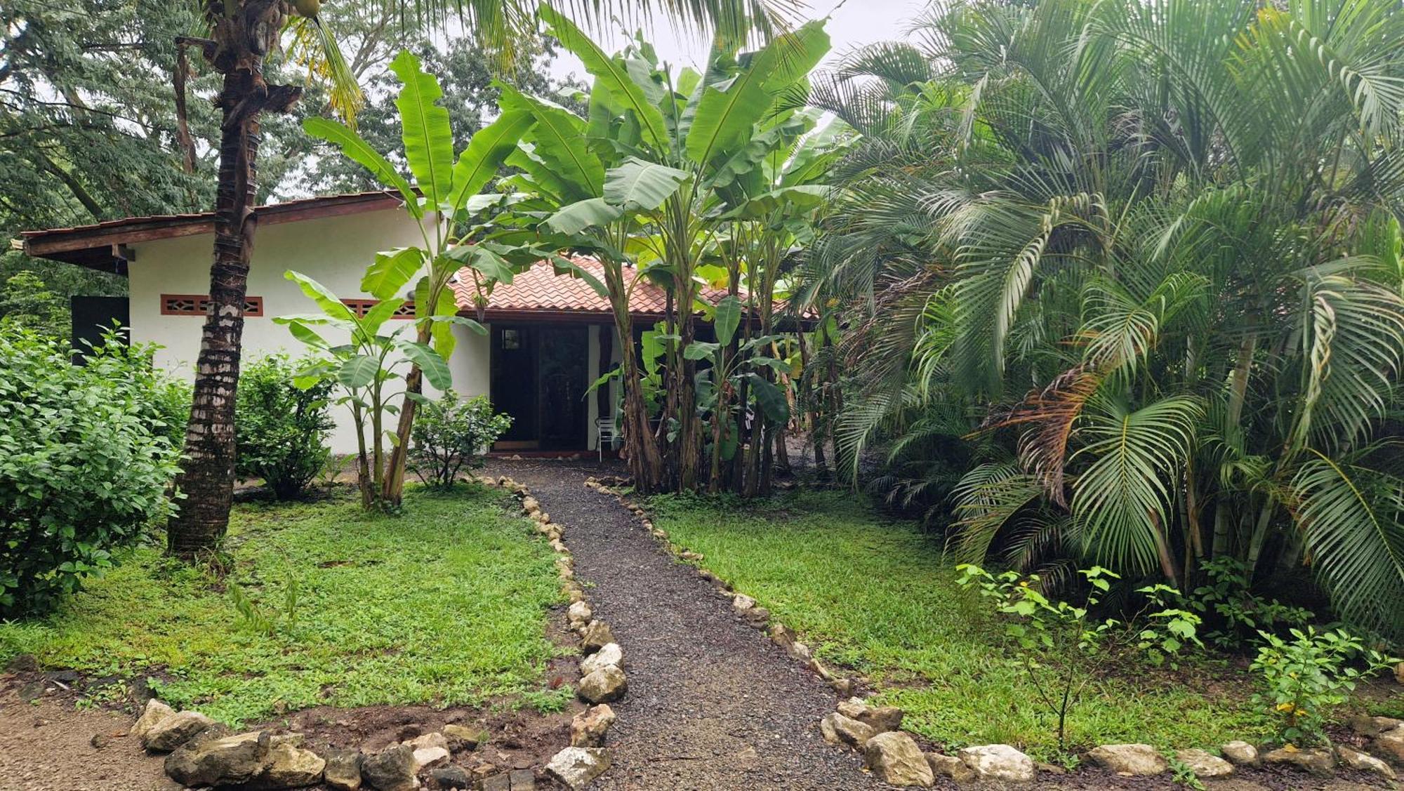 Villas Jungle 5 ซามารา ภายนอก รูปภาพ