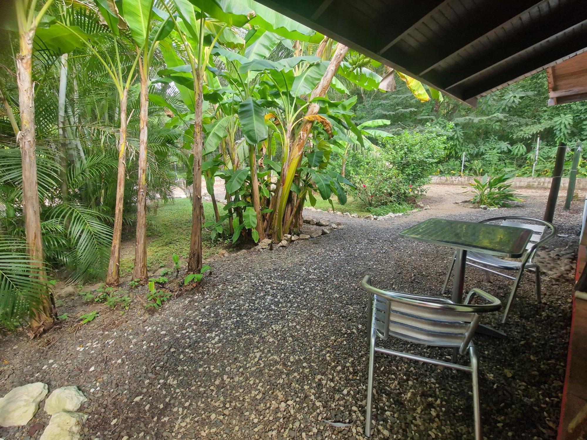 Villas Jungle 5 ซามารา ภายนอก รูปภาพ